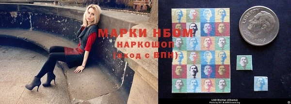 стафф Россошь