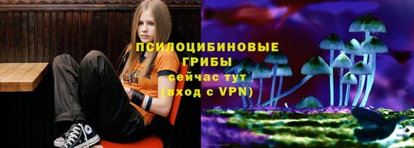 apvp Балахна