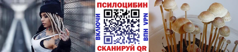 Галлюциногенные грибы прущие грибы  Купить  Каневская 